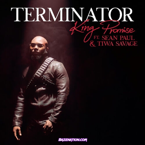 King Promise - Terminator (Remix) (feat. Sean Paul & Tiwa Savage)